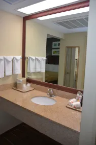 Quality Inn And Suites Dublin - Salle de bain