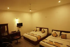 Golden Bird Pushkar - Room