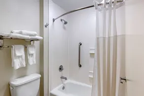 Quality Inn Walterboro I-95 - Badezimmer