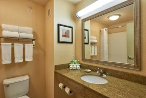 Holiday Inn Express & Suites El Paso Airport by IHG - Salle de bain