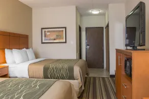 Comfort Inn Metro Airport - Chambre