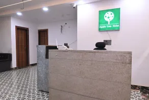 Hotel Apple Tree - Réception
