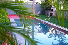 Wolf Suites - Piscina