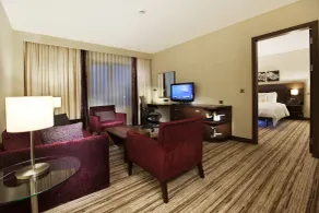 Hilton Garden Inn Sanliurfa - Room
