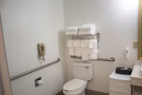 Country Inn & Suites by Radisson, Big Rapids, MI - Salle de bain
