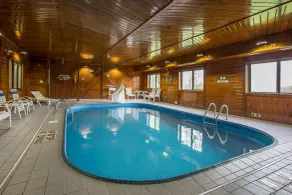 Quality Inn & Suites Bloomington I-55 and I-74 - Piscine