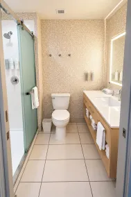 Home2 Suites by Hilton Edinburg, TX - Bathroom