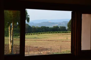 Fattoria Lucciano - Utsikt från rummet