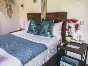 Blue Bird - Chambre