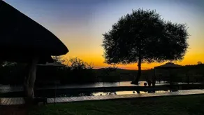 Muweti Bush Lodge - Pool