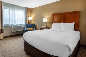 Comfort Inn & Suites Montpelier-Berlin - Chambre