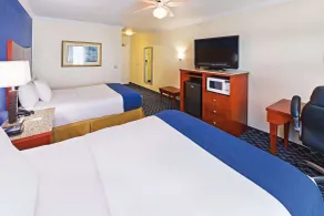 La Quinta by Wyndham Dalhart - Chambre