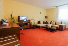 Grand Hotel Senica - Room