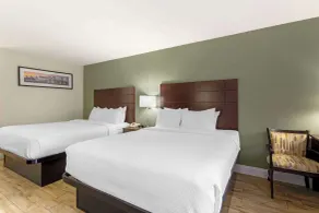 Quality Inn & Suites St Augustine Beach Area - Chambre
