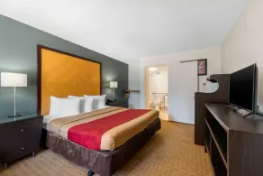 Econo Lodge Airport - RJ Stadium - Chambre