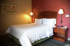 Hampton Inn Mountain Home - Room