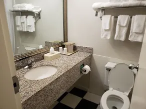 Comfort Inn Sandusky - Salle de bain