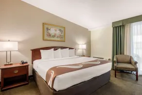 Quality Inn & Suites Tarpon Springs South - Chambre
