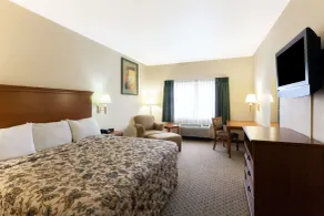 Days Inn by Wyndham San Antonio at Palo Alto - Room