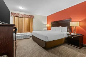 Comfort Inn & Suites Calgary Airport - South - Rom