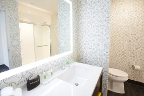 Holiday Inn Louisville Downtown by IHG - Salle de bain