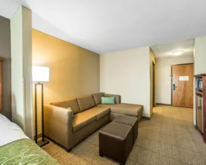 Comfort Suites Columbia - University Area - Chambre