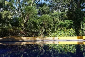 Palma Real Coliving - Piscina