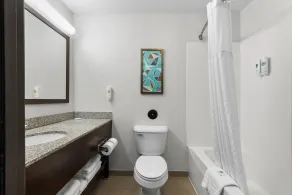 Comfort Inn & Suites Marion I-57 - Badezimmer