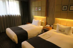 Sotetsu Fresa Inn Higashi Shinjuku - Rom