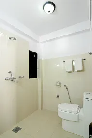 Thamel Grand Hotel - Bathroom
