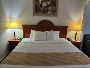 Quality Suites Altavista - Lynchburg South - Værelse