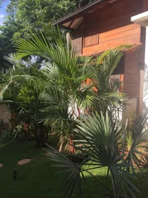 The Beach Bungalows - View from room