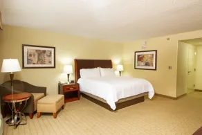 Hilton Garden Inn Anderson - Chambre