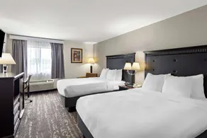 Best Western Saluki Inn - Chambre