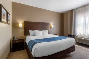 Comfort Inn & Suites Waterloo - Cedar Falls - Chambre