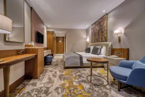 BN Hotel Thermal & Wellness - Room