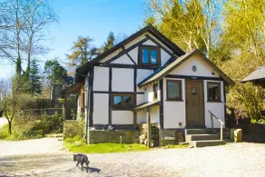 Llethrau Forest & Nature Retreats - Room