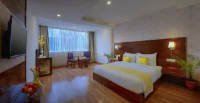 TreeHouse Chail Villas - Room