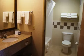 AmericInn by Wyndham Anamosa - Badezimmer