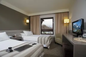 Hotel Costa Australis - Room