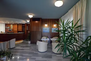 Hotel Giulio Cesare - Siddeområde i lobbyen