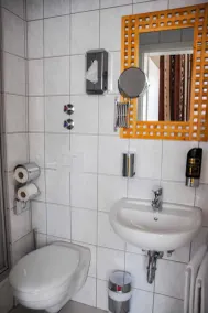 Hotel Villa Erlen - Bathroom