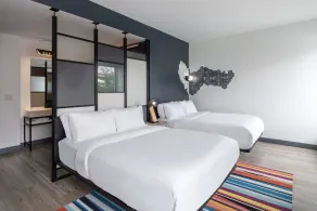 Aloft by Marriott Dallas Arlington South - Zimmer