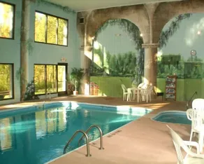 Baymont by Wyndham New Buffalo - Piscine