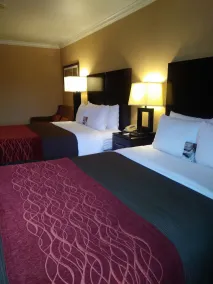 Comfort Inn Columbia Gorge - Chambre