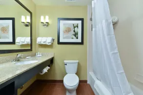Hilton Garden Inn Cincinnati/West Chester - Salle de bain