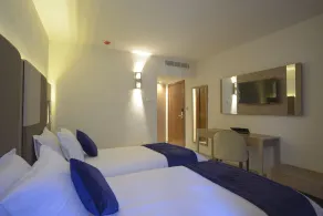 Lescure Business Hôtel and SPA  - Chambre