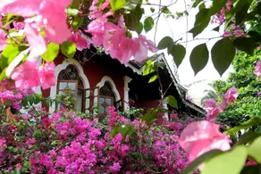 Marbella Guest House - Room