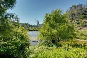 On Mckenzie River! Home w/ Scenic Sunroom - Innenbereich