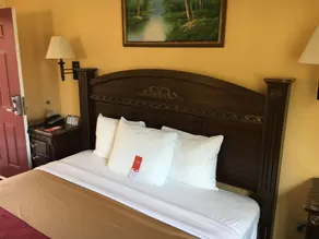 Pacifica Motel - Chambre